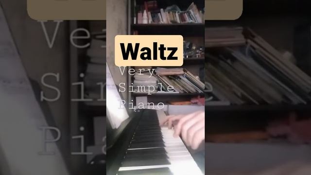 Графиня де Монсоро  shorts