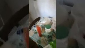 Продажа дома в массиве "Пупышево" ЛО.