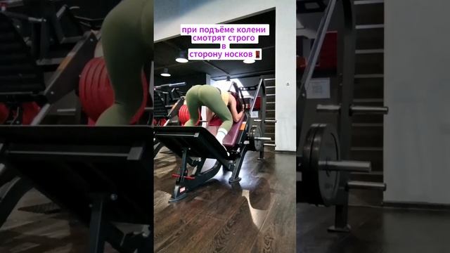 Обратные Гак ПРИСЕДАНИЯ | REVERSE HACK SQUAT #squatglutes #hacksquat #glutesworkout