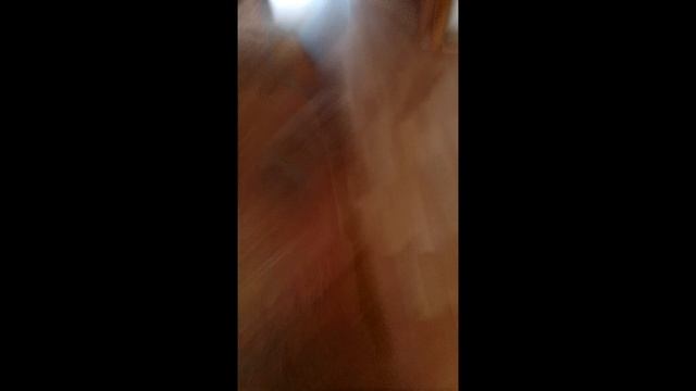 капибара играет в скулбой рановей 3 часть