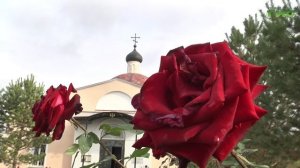 В Самаре продолжается прививочная кампания против гриппа, ОРВИ и COVID-19