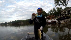 Z-Man Jack Hammer Chatterbait - It's WORTH IT!!!
