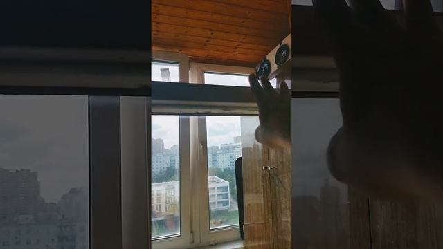 не уболтал кошку