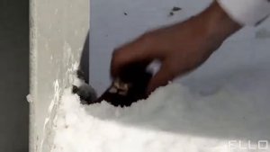 Kamaliya feat  Thomas Anders   No Ordinary Love 2012