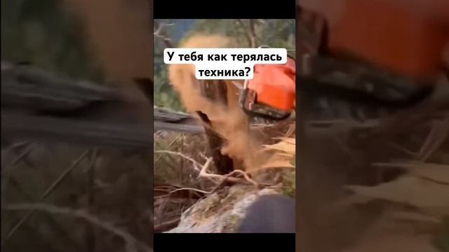 Жалко пилу, хорошая была #husqvarna #stihl #zimani