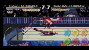 WrestleMania Sega Genesis All Player's Small, Medium & Large Combo With Special Move's.