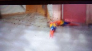 Московский зоопарк. Красный ара.