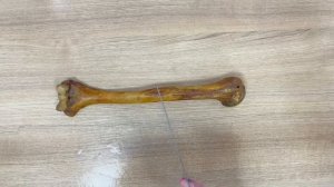 Плечевая кость