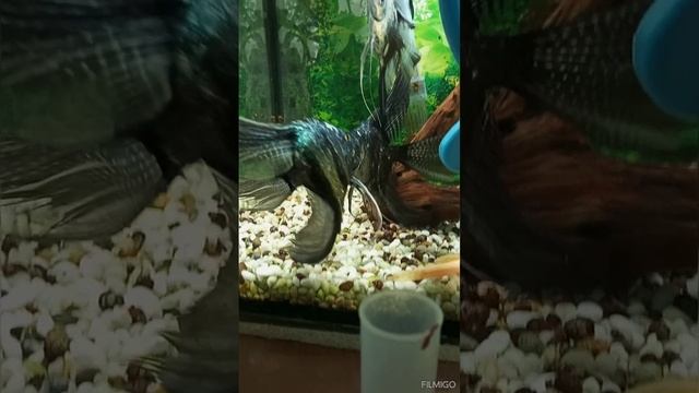 1000023011.mp4