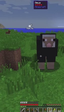 Гайд на Овцу в майнкрафт / Sheep in Minecraft