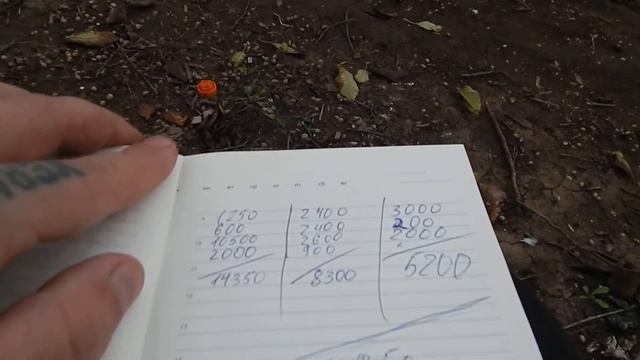 Затраты на посадку клубники. Сколько нужно плёнки, капли и рассады на одну сотку и что нужно ещё?