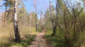 Кисловодск. Национальный парк. Полное погружение. Kislovodsk National Park. 4K 30fps.