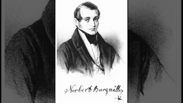 Norbert Burgmüller "Sinfonía nº 1 en Do menor, Op. 2" смотреть онлайн