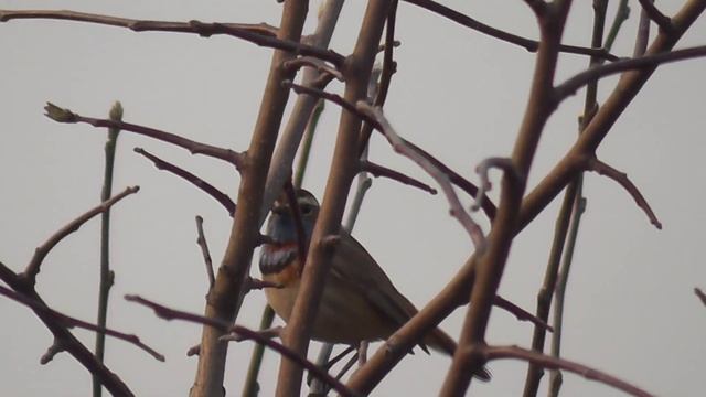 И вновь продолжается стройка! смотреть онлайн