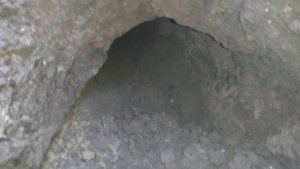 Работа Ягдтерьера по барсуку часть 1