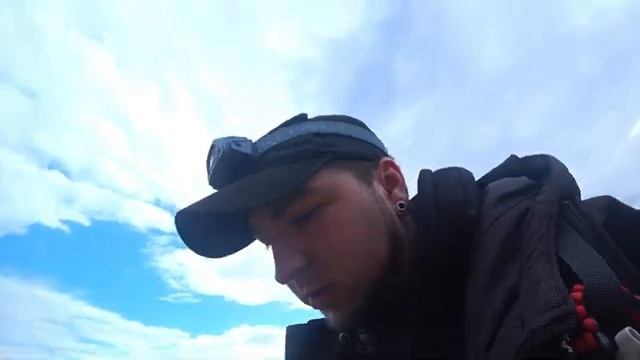 Олений Остров. Нашли много трупов благородных оленей. Мертвые Олени. Погост Веретьево