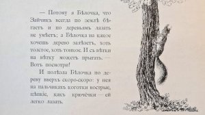 Сказка для малышей. «Про зайчика и про белочку». Д.Л. Иванов.