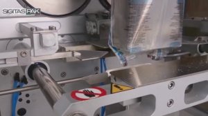 MAYA ECO - ВЕРТИКАЛЬНАЯ ФАСОВОЧНО - УПАКОВОЧНАЯ ЛИНИЯ ДЛЯ ПЫЛЯЩИХ ПРОДУКТОВ