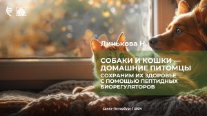 Собаки и кошки - домашние питомцы. Сохраним их здоровье с помощью пептидных биорегуляторов.