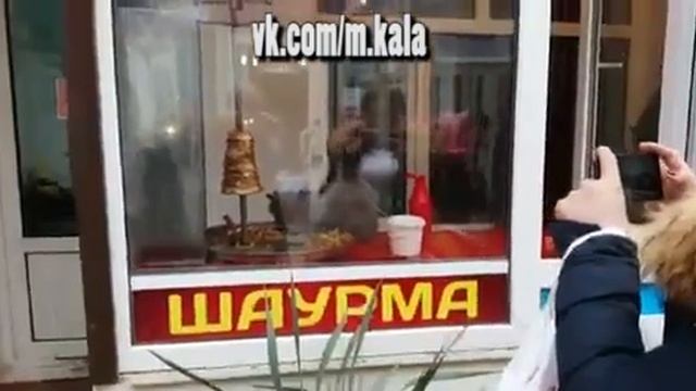 [Махачкала] Кот на восточном рынке Махачкала, Дагестан. смотреть онлайн