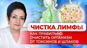 Чистка лимфы: как правильно очистить организм от токсинов и шлаков | Доктор Света