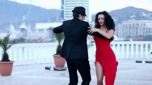 Радость жизни