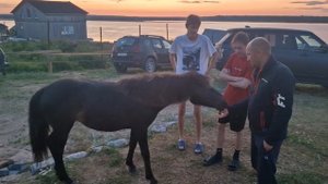 Кольский полуостров, рыбалка на горбушу. 2023