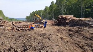 Строительство лежневых дорог1