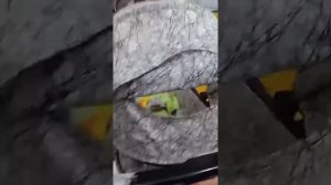 Review Stroller Gb 2009