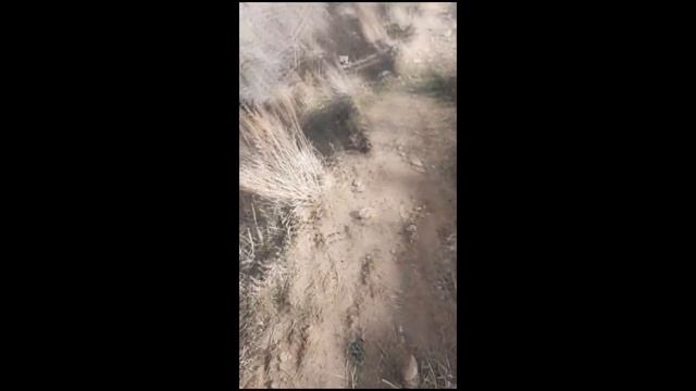 Отзыв о сетях смотреть онлайн