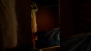 Девятилетний мальчик мочит двенадцатилетнего школьника!!!!ТРЕШ!!!!!!!!!!!