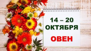 ♈ ОВЕН. 🏵 С 14 по 20 ОКТЯБРЯ 2024 г. 🌼 Таро-прогноз 💝