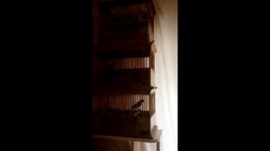 Видео друзей Щеглы Саратова