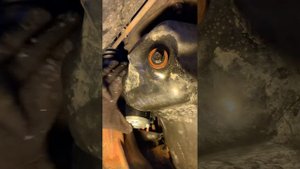 2007 Jeep Commander 3.7 V6 Starter Removal and Installation Easiest Way!!!turn Volume up