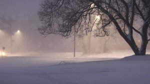 6470375-hd_1920_1080_30fps