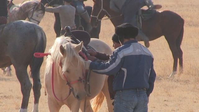 Канат мырзанын бата алу кокпар тойы Жамбыл облысы