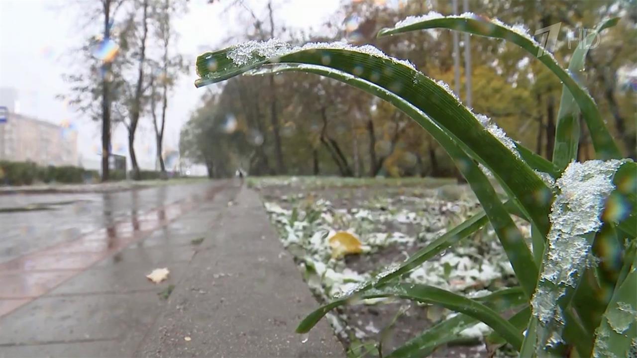 В Москве выпал первый снег