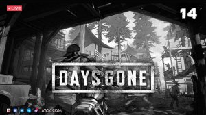 DAYS GONE ▶ ЖИЗНЬ ПОСЛЕ ● Прохождение #14