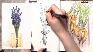 Видеоурок "Ботанический скетчинг. Рисуем природу. Лаванда"