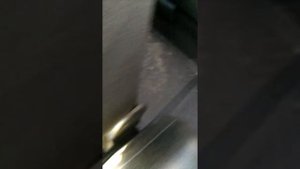 УАЗ Патриот 2019 года. Падение напряжения при включении всех электроприборов