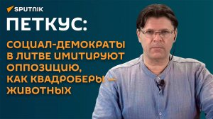 Петкус: социал-демократы в Литве своими действиями напоминают квадроберов