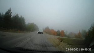 Fog / Сиреневый туман