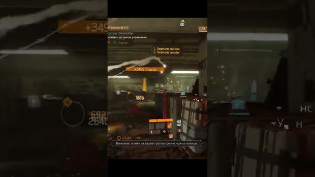 The Division