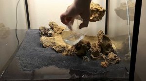 ЛЕТАЮЩИЙ ОСТРОВ. ЗАПУСК. STEP BY STEP AQUASCAPE FLYING ISLAND