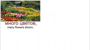 № 272 Русский язык в рассказах  ЛЕТО