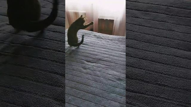зарядка