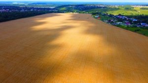 АГРОС Карауловское поле г  Кстово