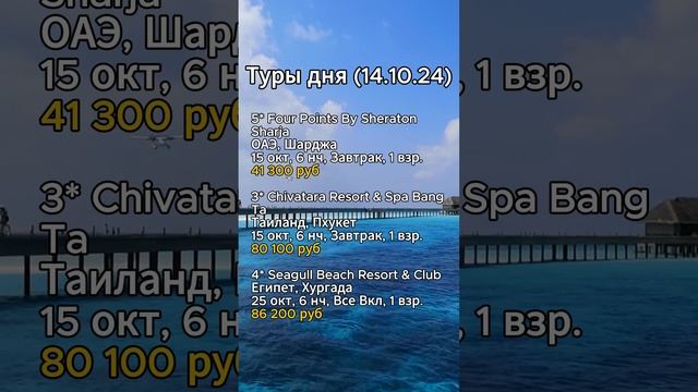 ТУРЫ ДНЯ 14.10.24

shorts отдых море отпуск путешествия