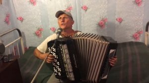 Олеся Олеся Сябры кавер версия баяна