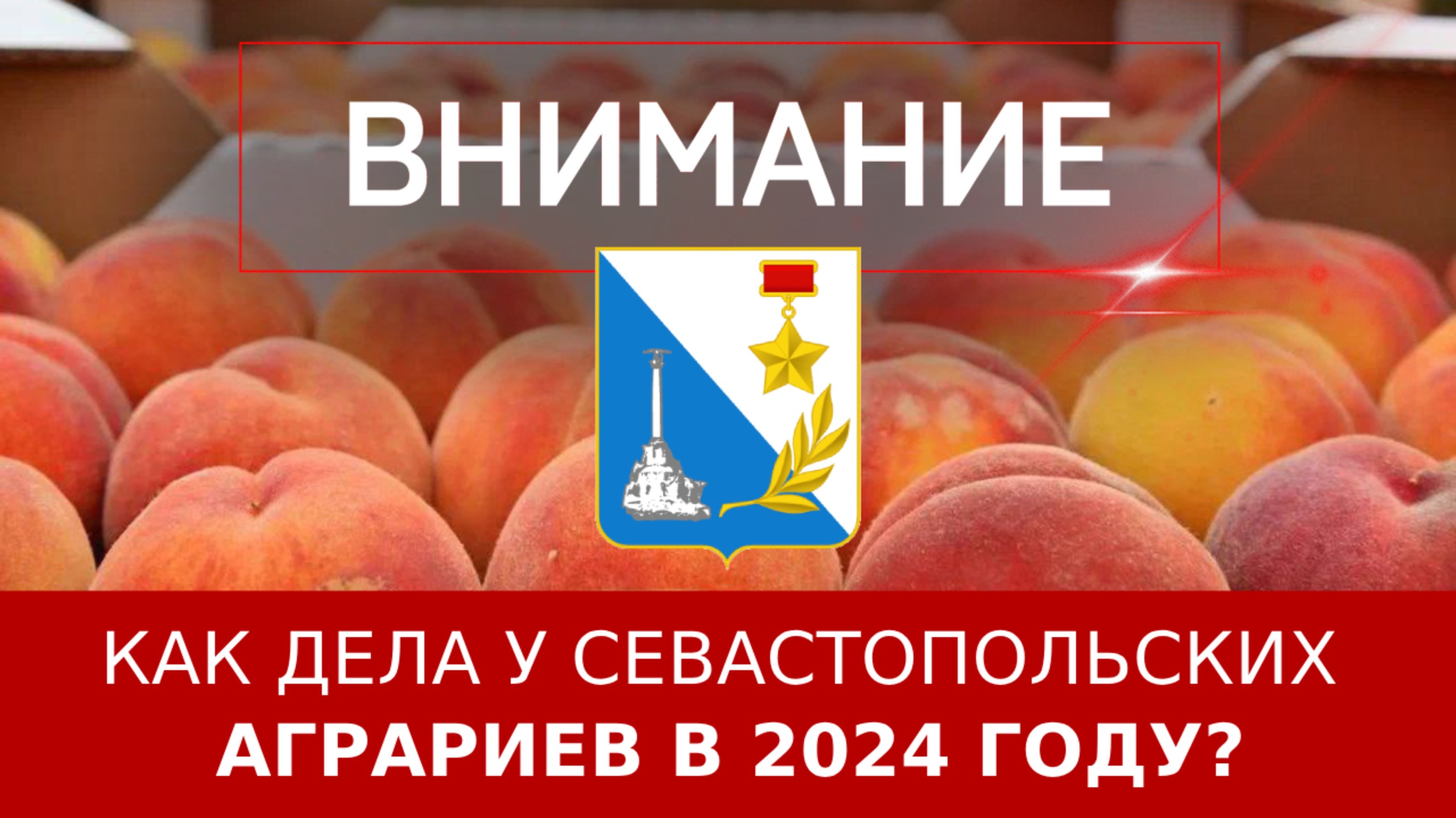 Как дела у севастопольских аграриев в 2024 году?